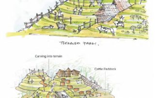 配合華富邨地勢而構思的梯田式遊樂概念，分層出現各種遊戲，符合華富人的想法嗎？